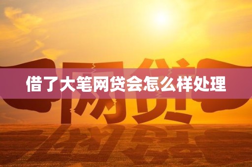 借了大笔网贷会怎么样处理