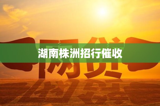 湖南株洲招行催收