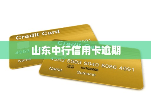 山东中行信用卡逾期 山东中行信用卡逾期