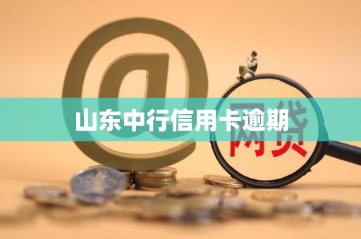 山东中行信用卡逾期 山东中行信用卡逾期