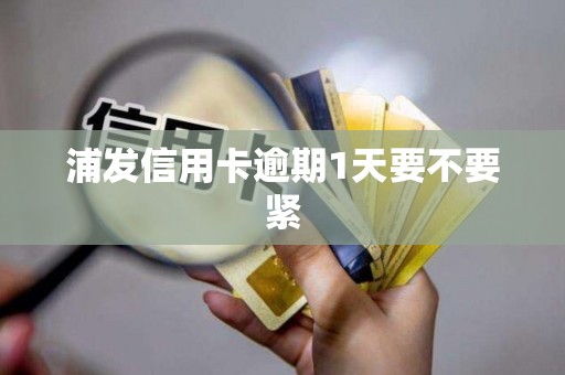 浦发信用卡逾期1天要不要紧