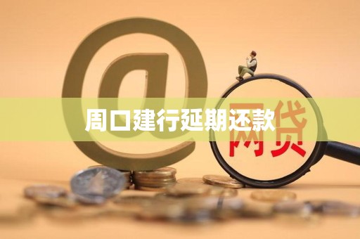 周口建行延期还款