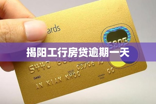 揭阳工行房贷逾期一天
