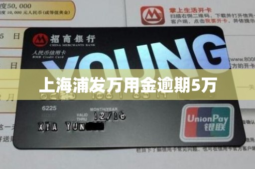 上海浦发万用金逾期5万