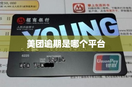 美团逾期是哪个平台