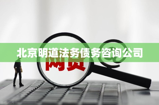 北京明道法务债务咨询公司