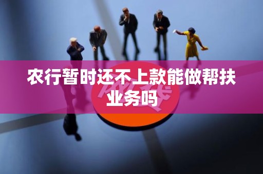 农行暂时还不上款能做帮扶业务吗