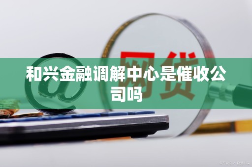 和兴金融调解中心是催收公司吗