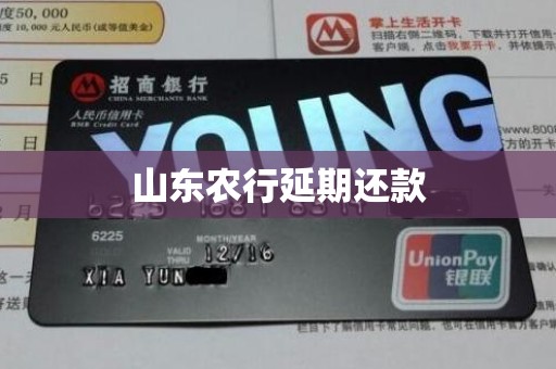 山东农行延期还款 山东农行延期还款