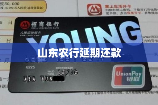 山东农行延期还款 山东农行延期还款