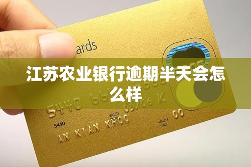 江苏农业银行逾期半天会怎么样