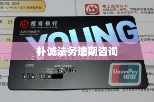 朴诚法务逾期咨询