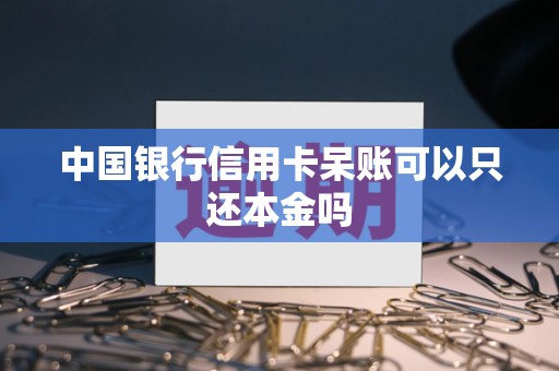 中国银行信用卡呆账可以只还本金吗