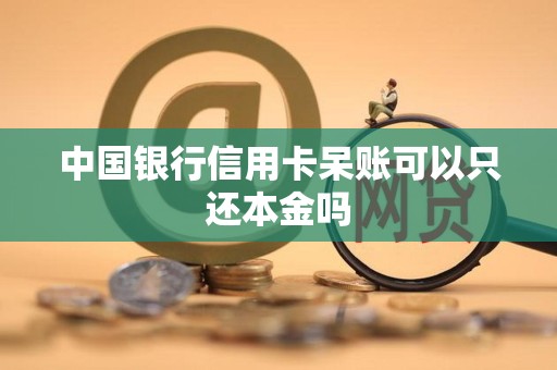 中国银行信用卡呆账可以只还本金吗