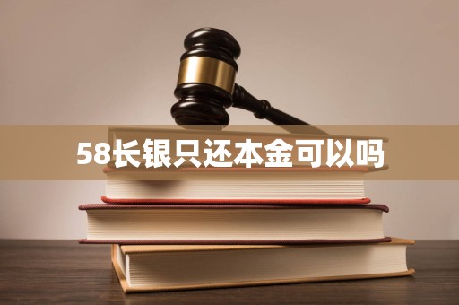 58长银只还本金可以吗