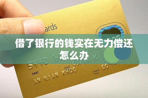 借了银行的钱实在无力偿还怎么办