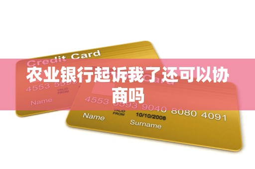 农业银行起诉我了还可以协商吗 农业银行起诉我了还可以协商吗