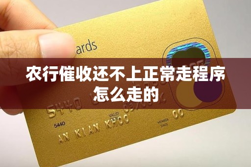 农行催收还不上正常走程序怎么走的