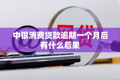 中银消费贷款逾期一个月后有什么后果