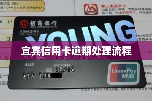 宜宾信用卡逾期处理流程 宜宾信用卡逾期处理流程