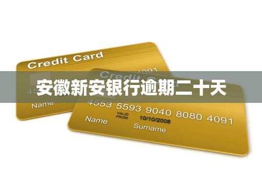 安徽新安银行逾期二十天