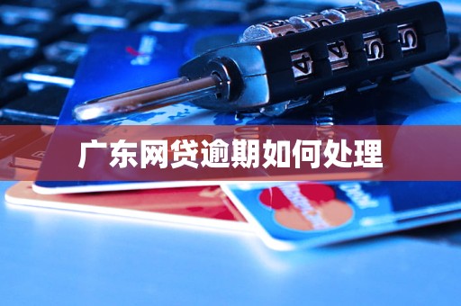 广东网贷逾期如何处理
