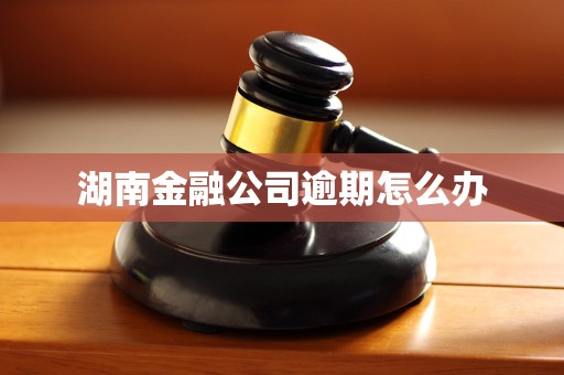 湖南金融公司逾期怎么办