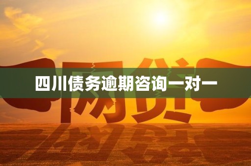 四川债务逾期咨询一对一