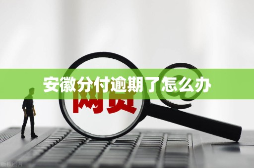安徽分付逾期了怎么办