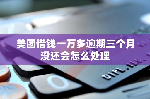 美团借钱一万多逾期三个月没还会怎么处理