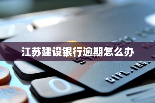 江苏建设银行逾期怎么办