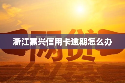 浙江嘉兴信用卡逾期怎么办