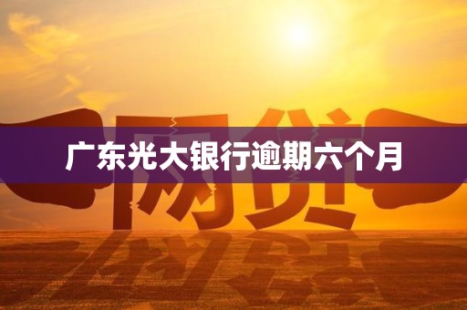 广东光大银行逾期六个月