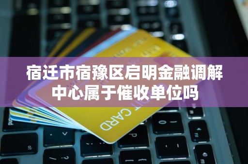 宿迁市宿豫区启明金融调解中心属于催收单位吗