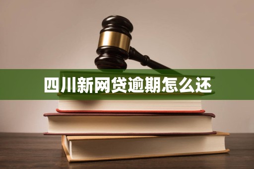 四川新网贷逾期怎么还