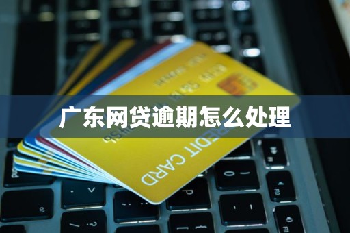 广东网贷逾期怎么处理