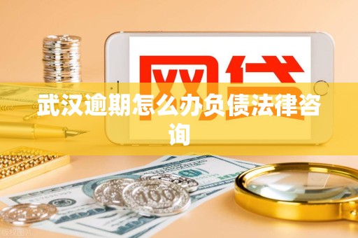 武汉逾期怎么办负债法律咨询