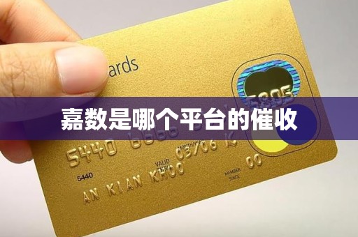 嘉数是哪个平台的催收