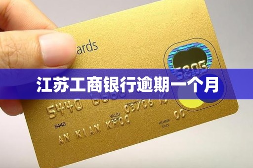 江苏工商银行逾期一个月