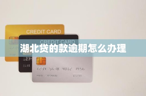 湖北贷的款逾期怎么办理 湖北贷的款逾期怎么办理