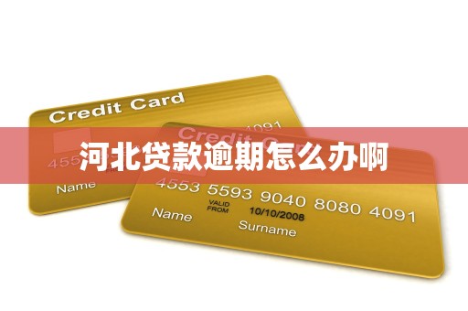 河北贷款逾期怎么办啊
