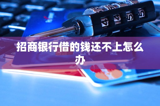 招商银行借的钱还不上怎么办
