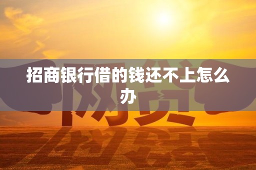 招商银行借的钱还不上怎么办