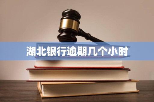 湖北银行逾期几个小时