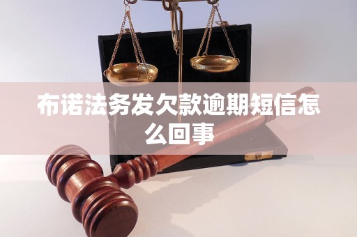 布诺法务发欠款逾期短信怎么回事