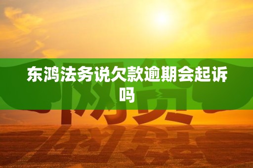 东鸿法务说欠款逾期会起诉吗