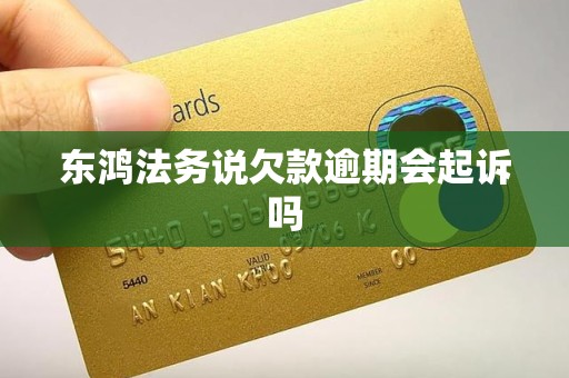 东鸿法务说欠款逾期会起诉吗