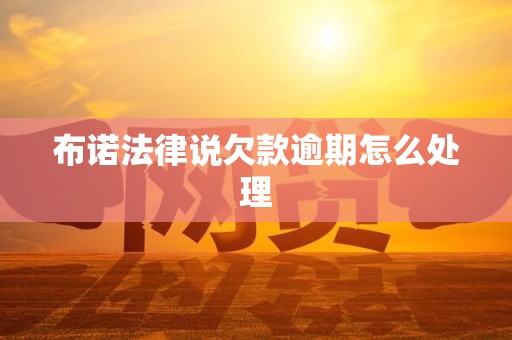 布诺法律说欠款逾期怎么处理