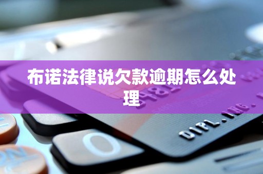 布诺法律说欠款逾期怎么处理