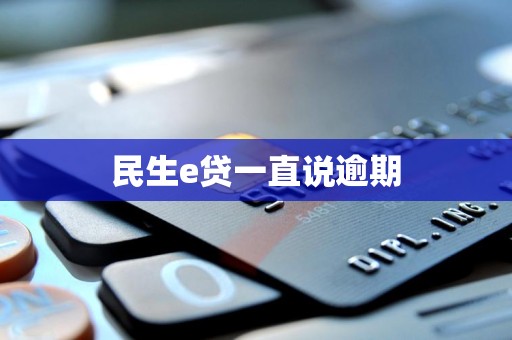 民生e贷一直说逾期